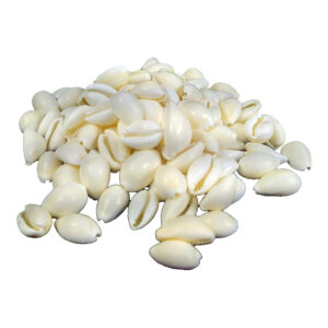 White Koudi/Gavvalu Big (110 pcs)