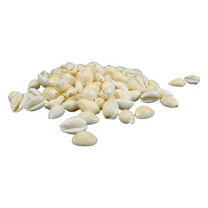 White Koudi/Gavvalu Small (110 pcs)