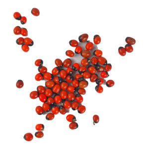 Red Gunja/Chirmi Seeds (110 pcs)